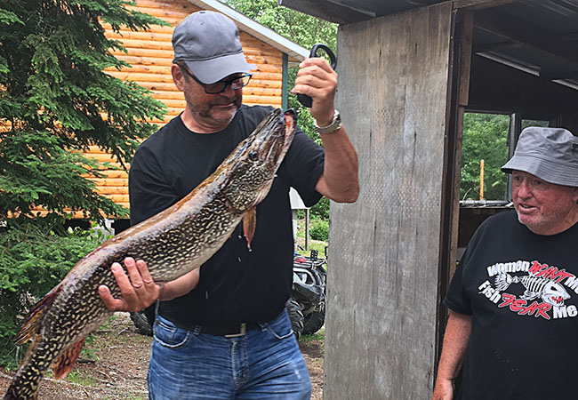 Biscotasing Sportsman Lodge Large Pike.jpg